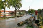 The Day After, der Tag nach dem Hochwasser